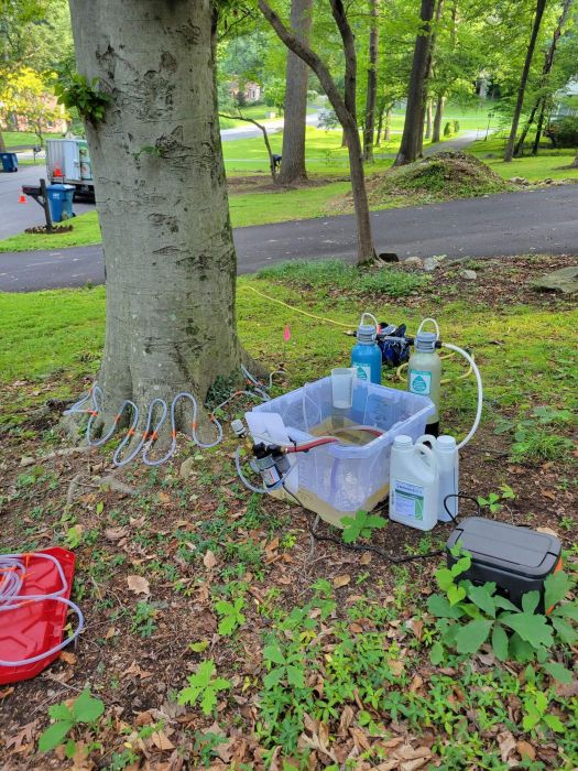 set up for treating for Beech Leaf Disease - Burkholder PHC