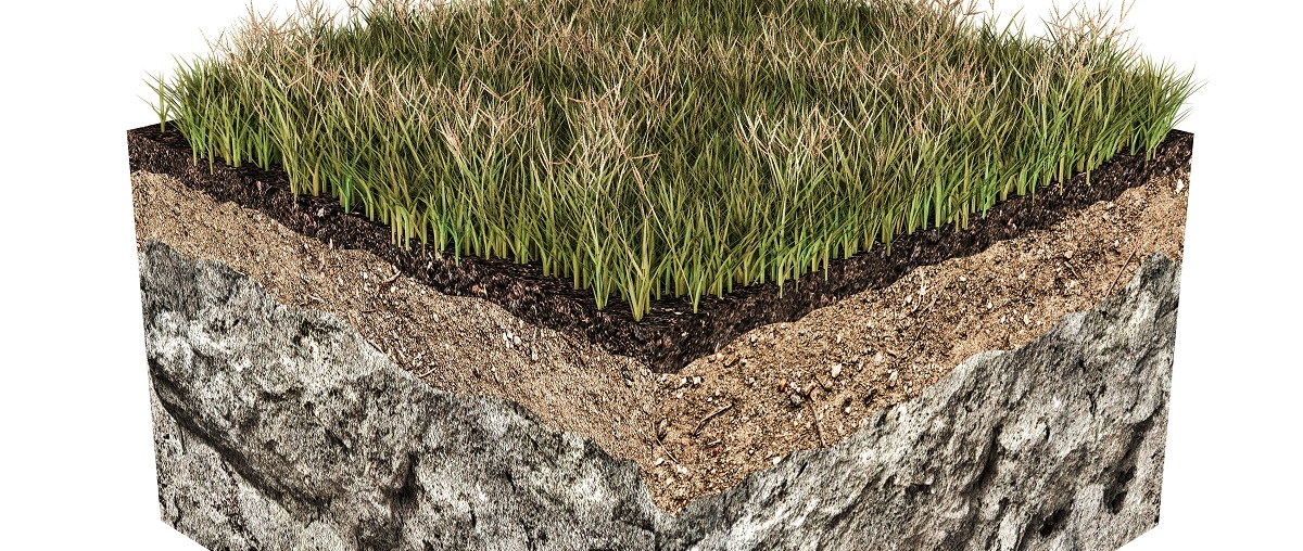 Soil Management by Burkholder Plant Health Care