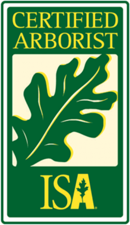 ISA logo for certified arborists