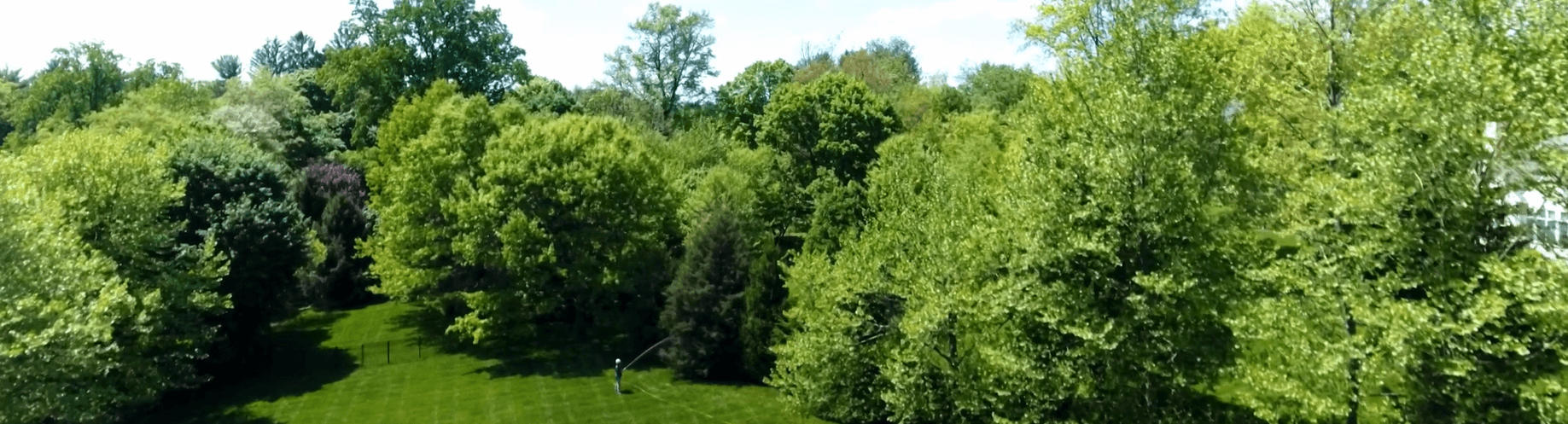 tree care worker spraying in the backyard of a large estate- what is plant health care in Penn Valley PA - BurkholderPHC