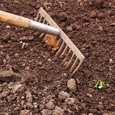 Rake in Soil | Plant Health Care by Burkholder Landscape