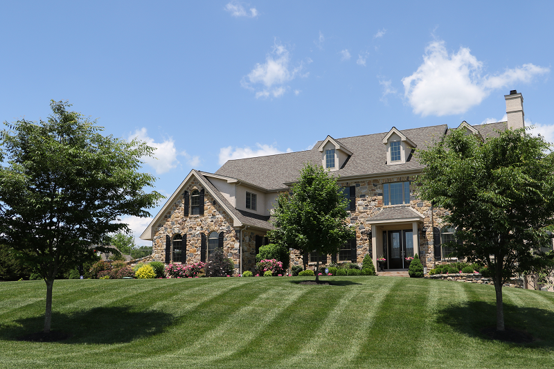 Front yard of house with trees and maintained landscape | Girdling Roots | Burkholder Brothers