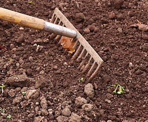 Rake in Soil | Plant Health Care by Burkholder Landscape