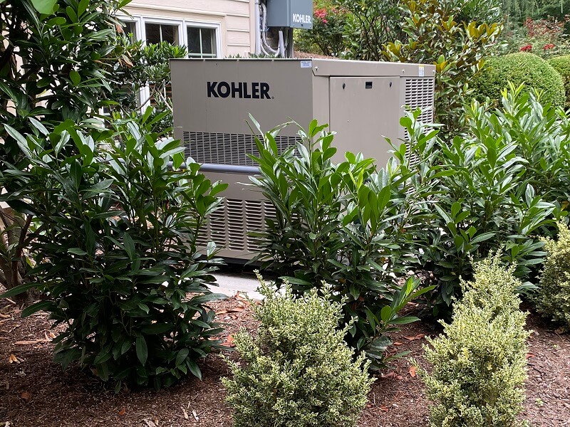 Trees, shrubs, and plants in backyard with gazebo and pond | plant health care | Burkholder Brothers